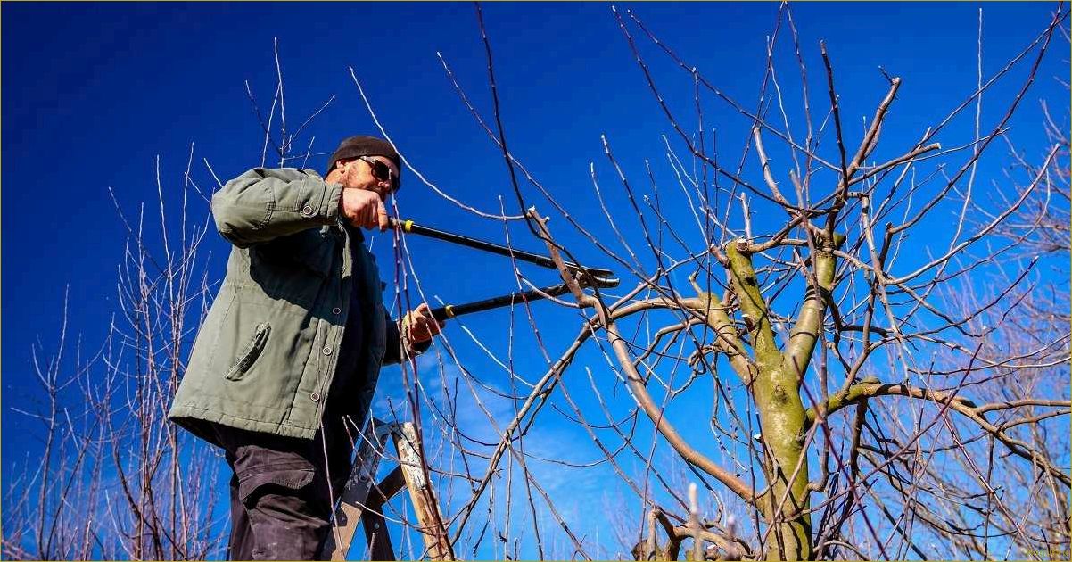 Дачный сезон: правильное обрезание деревьев с GARDENA