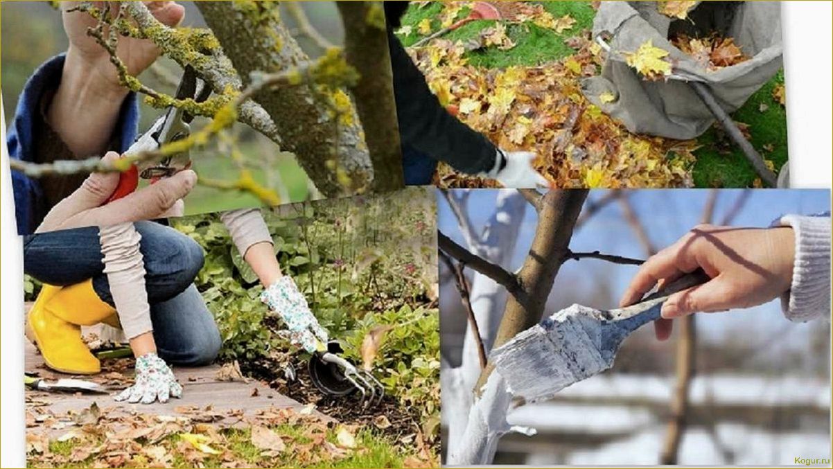 Дачный сезон: правильное обрезание деревьев с GARDENA