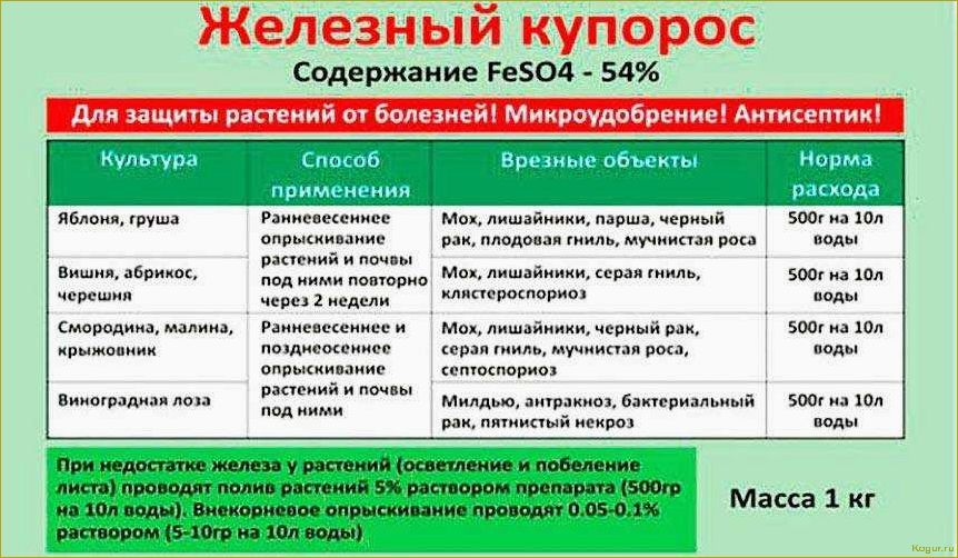 Медный купорос и его роль в садоводстве: применение и польза