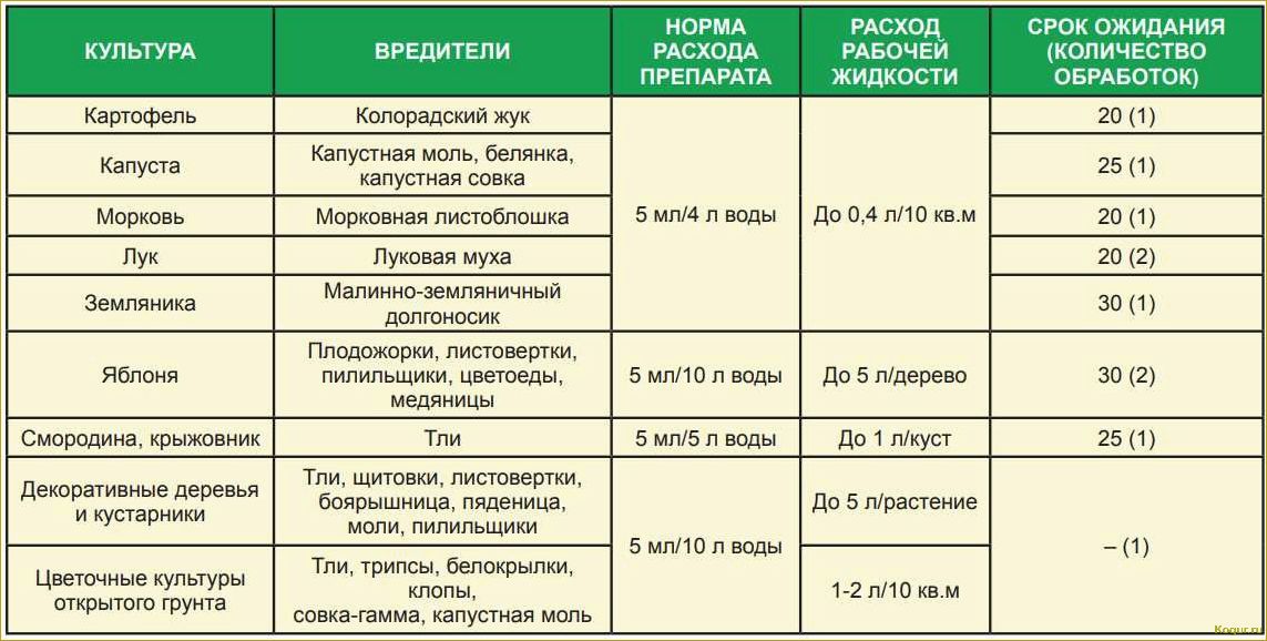 Корадо от колорадского жука: особенность пестицида, использование