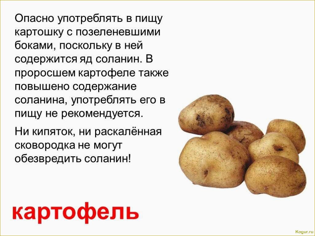 Причины не всхода картофеля и способы их предотвращения