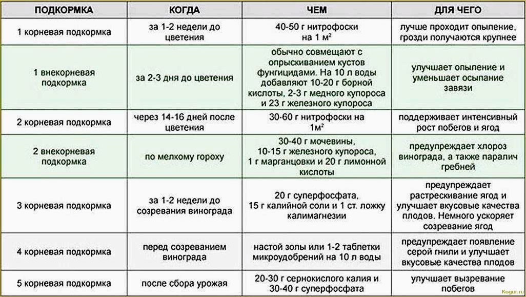 Использование аммиачной воды в садоводстве: эффективное удобрение и средство борьбы с вредителями.