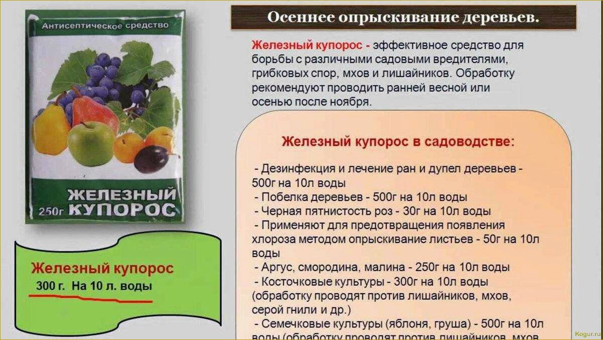 Использование аммиачной воды в садоводстве: эффективное удобрение и средство борьбы с вредителями.