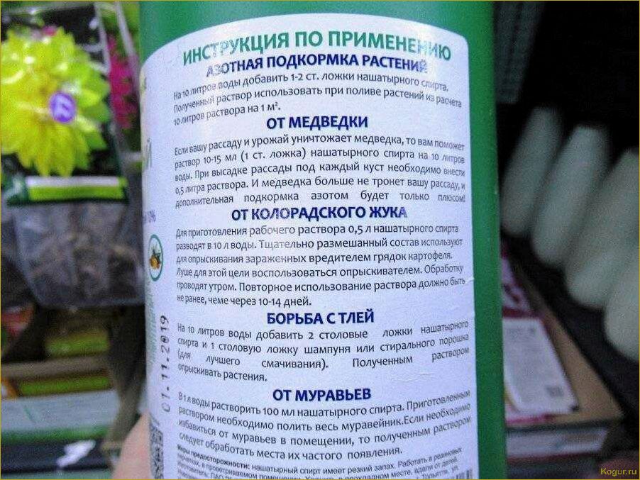 Использование аммиачной воды в садоводстве: эффективное удобрение и средство борьбы с вредителями.