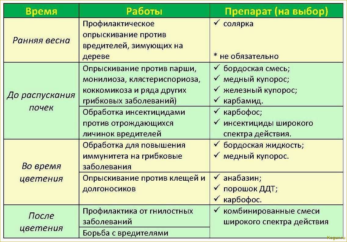 Использование аммиачной воды в садоводстве: эффективное удобрение и средство борьбы с вредителями.