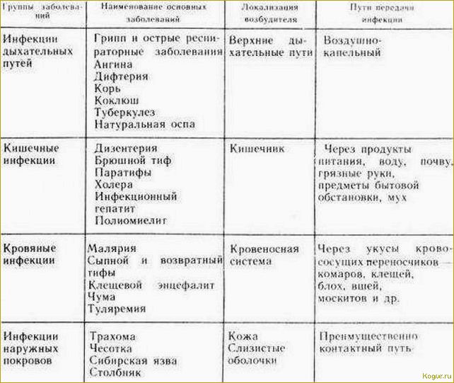 Распространенные болезни роз: методы борьбы и симптомы заболеваний