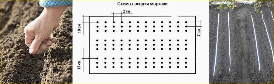 Садоводство на ограниченной площади: секреты успешной агротехники