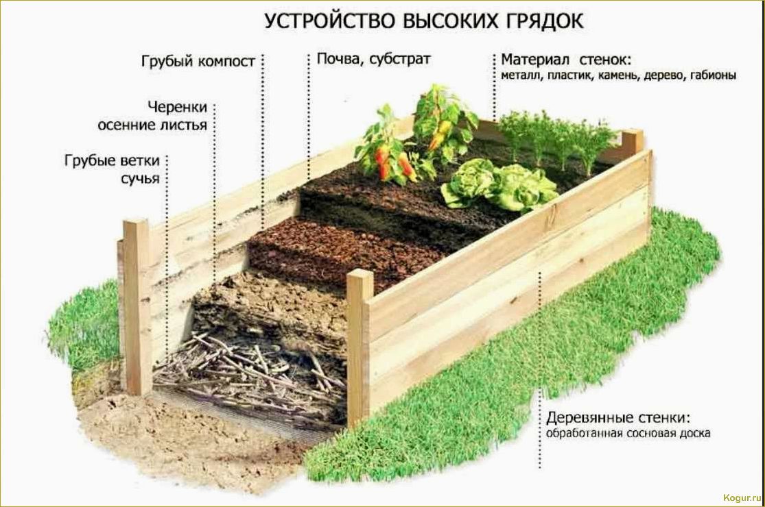 Садоводство на ограниченной площади: секреты успешной агротехники