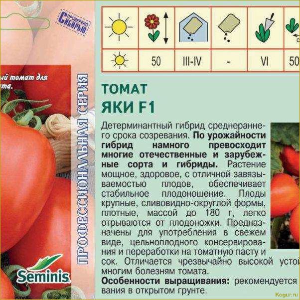 Томат Торбей — основные особенности и характеристики голландской новинки