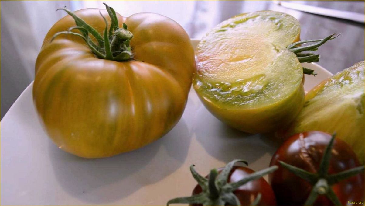 Салатные сорта помидор: идеальное украшение для жаркого лета