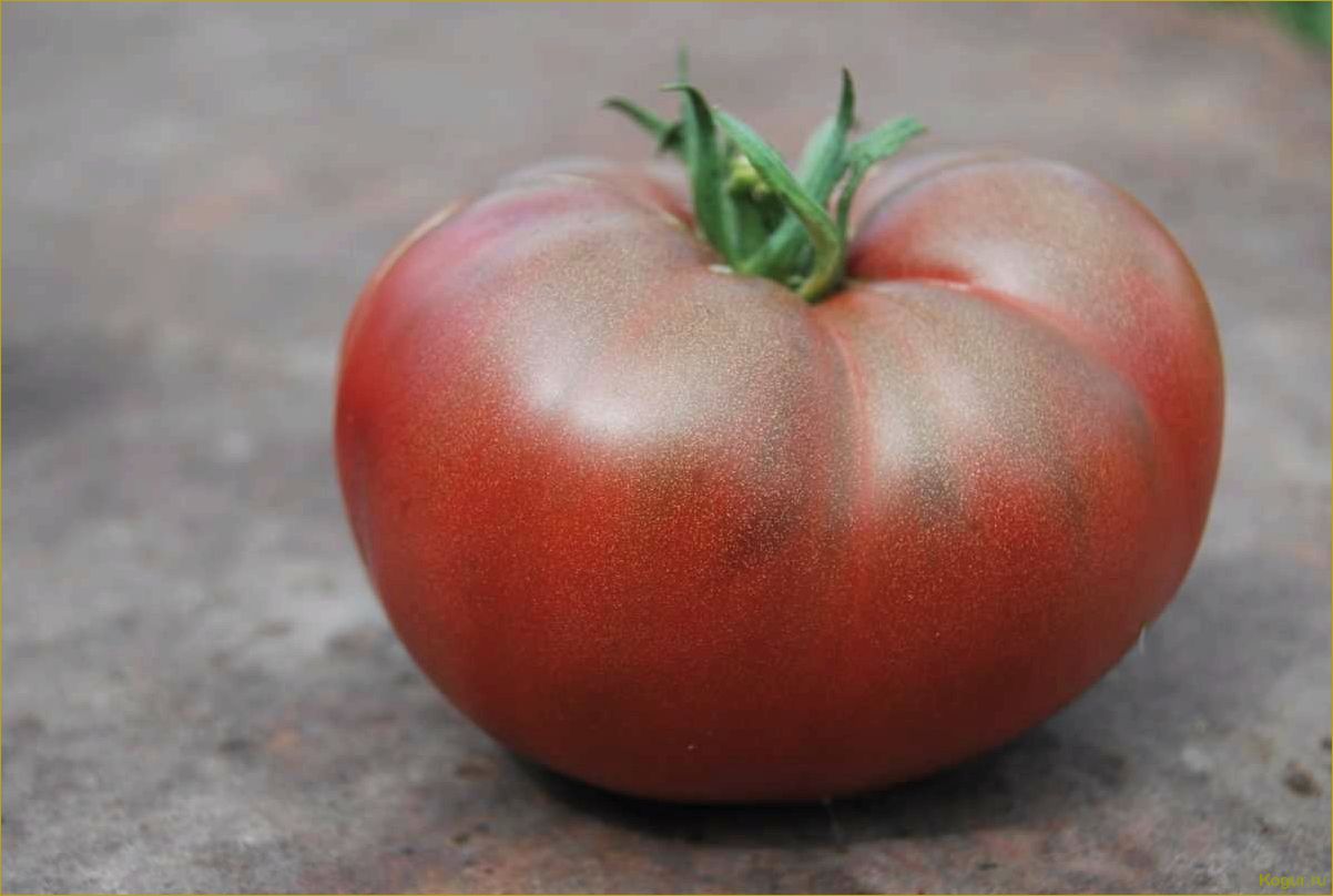 Салатные сорта помидор: идеальное украшение для жаркого лета