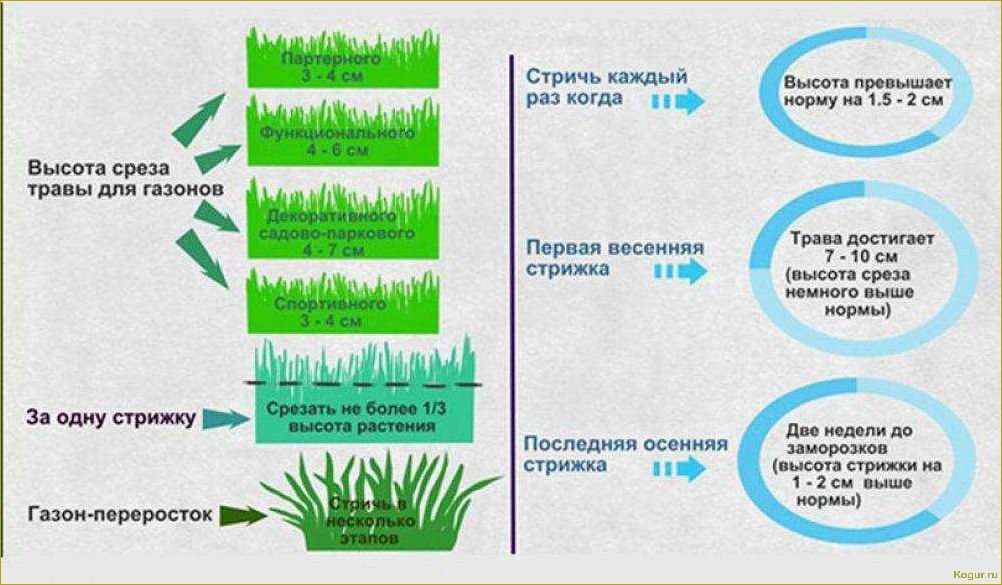 Возможна ли посадка газона в осенний период?