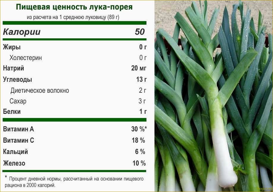 Зеленый лук и его свойства: все секреты полезного продукта