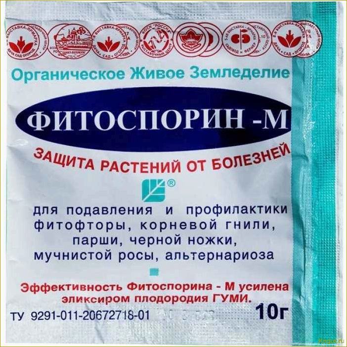 Безопасный биофунгицид фитоспорин-М для защиты растений