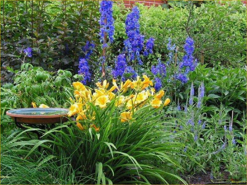 Разнообразие и использование ирисов в садовом дизайне: классификация и практические советы