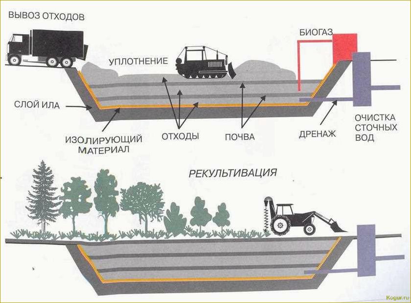 Подробное руководство по быстрому и эффективному восстановлению газона после земляных работ своими руками