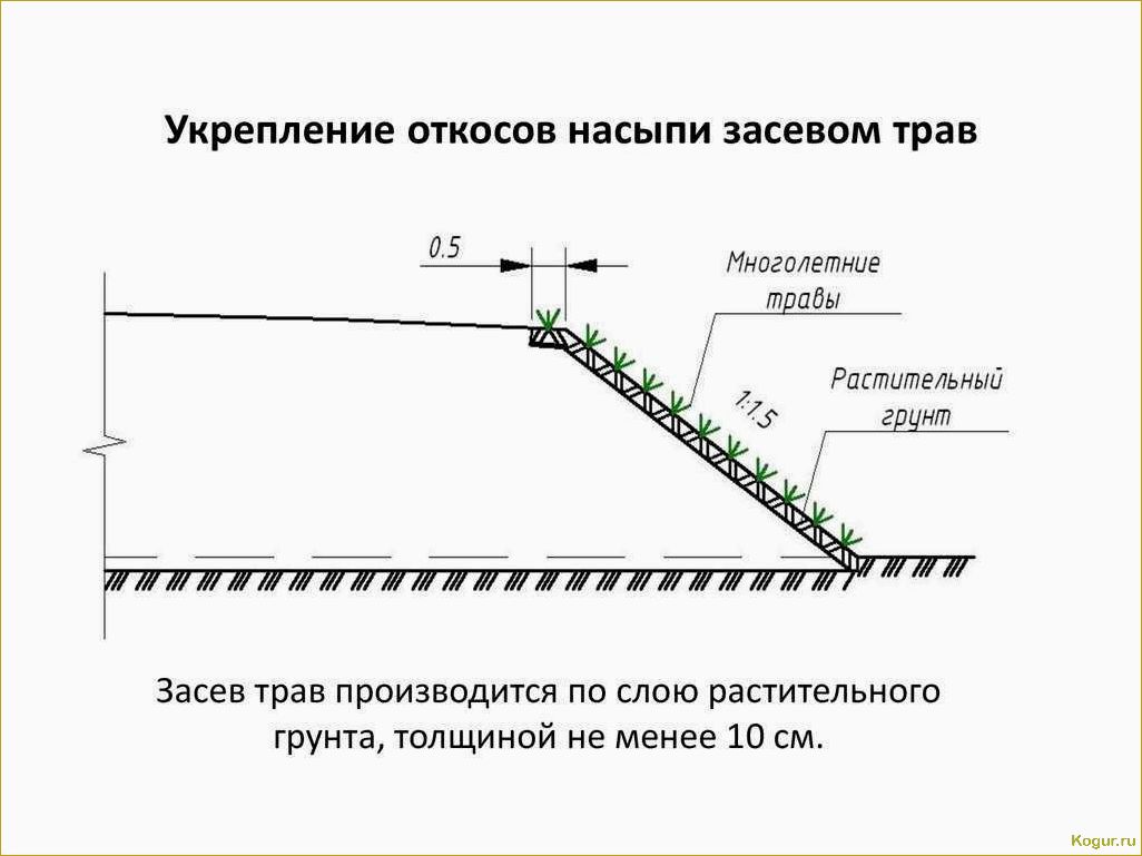 Подробное руководство по быстрому и эффективному восстановлению газона после земляных работ своими руками