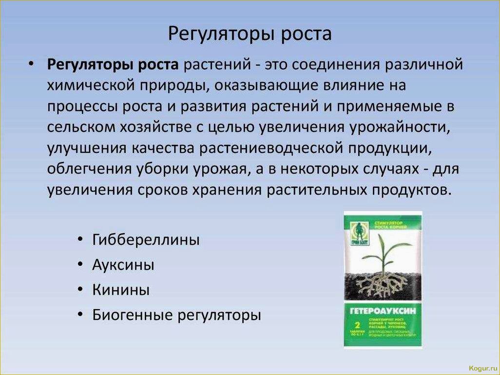 Как использовать регуляторы роста растений: виды и применение