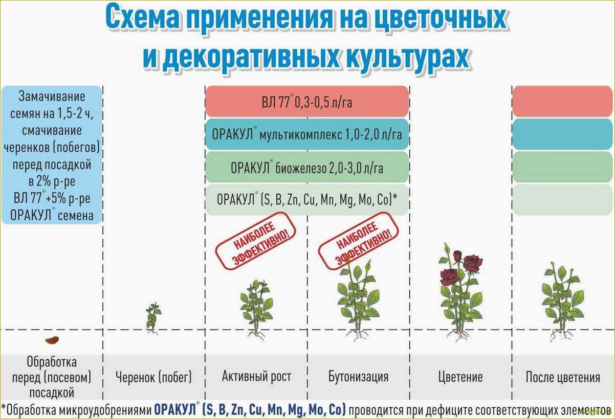 Как использовать регуляторы роста растений: виды и применение