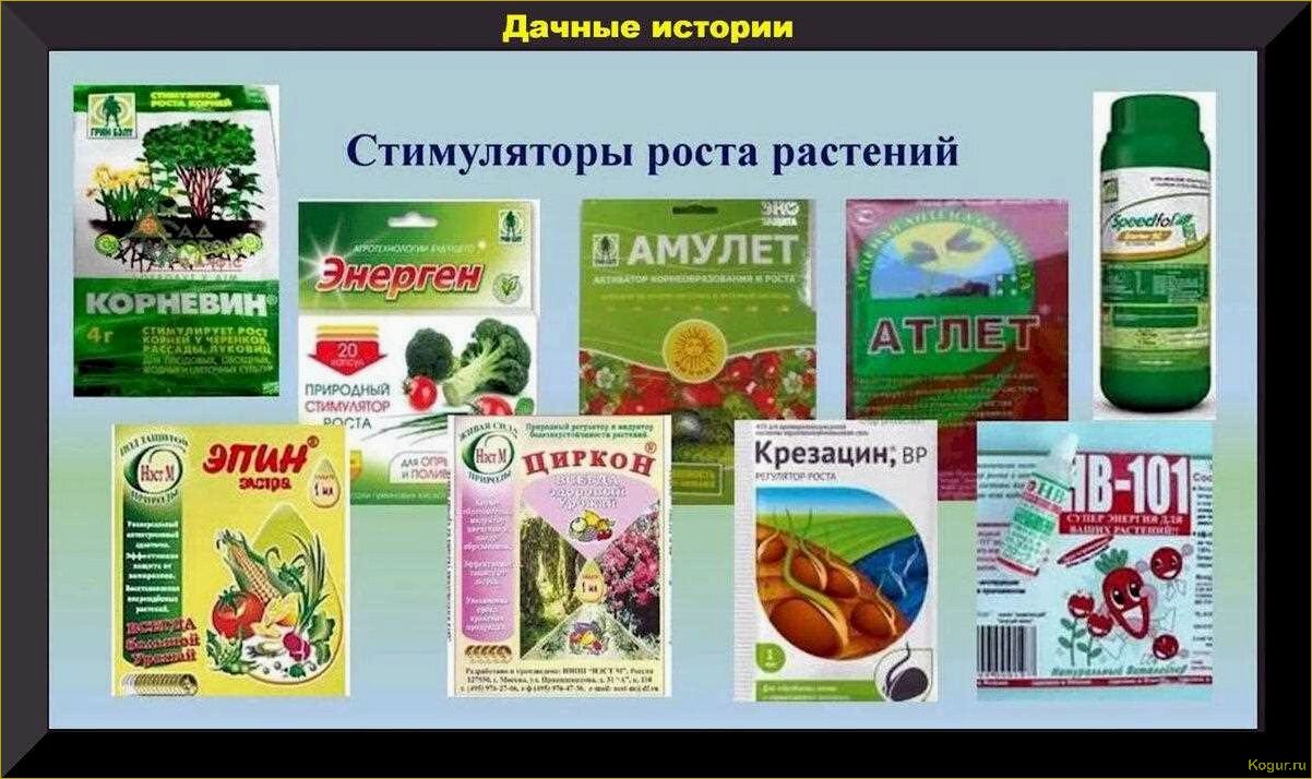 Как использовать регуляторы роста растений: виды и применение