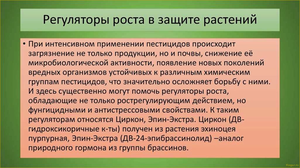 Как использовать регуляторы роста растений: виды и применение