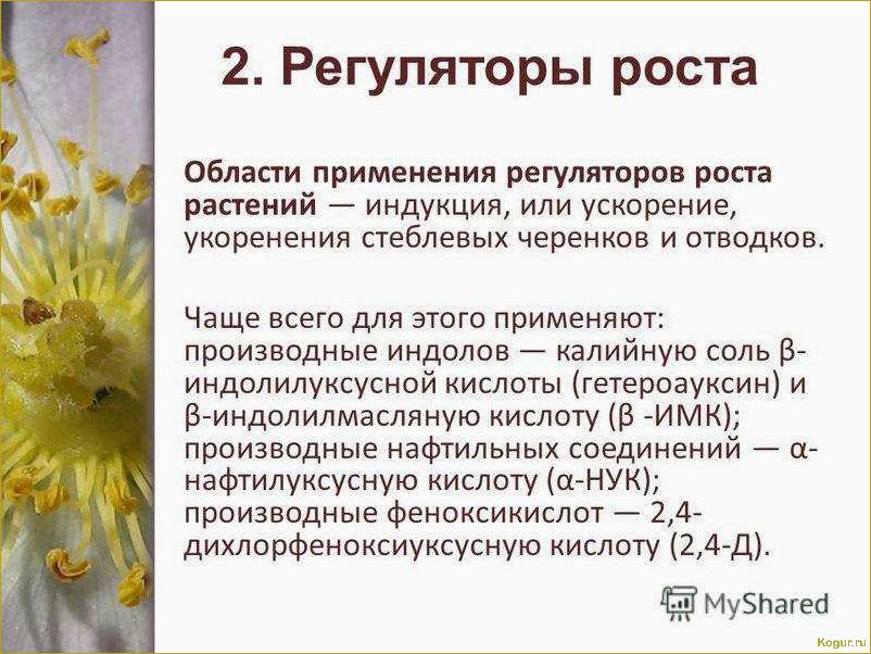 Как использовать регуляторы роста растений: виды и применение