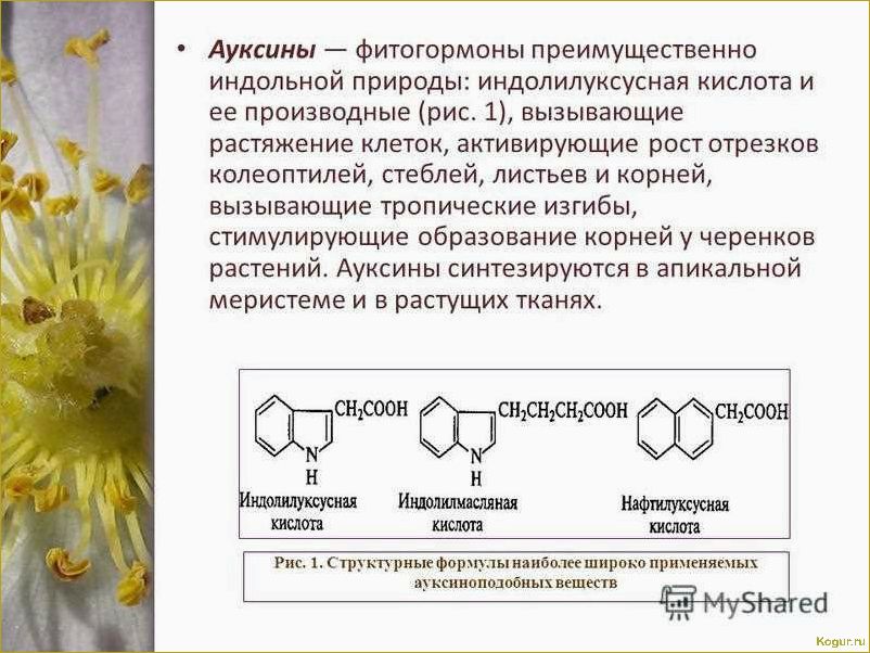 Как использовать регуляторы роста растений: виды и применение