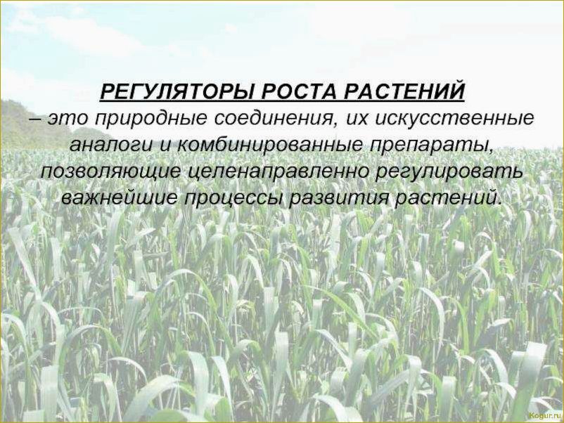 Как использовать регуляторы роста растений: виды и применение