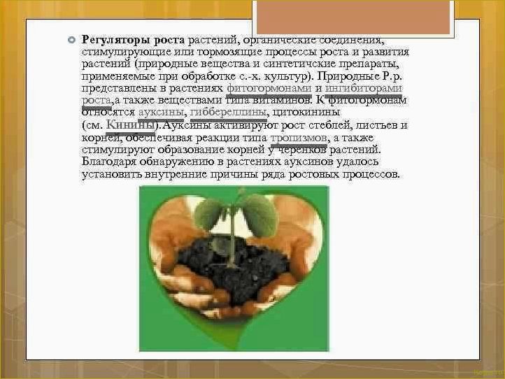 Как использовать регуляторы роста растений: виды и применение