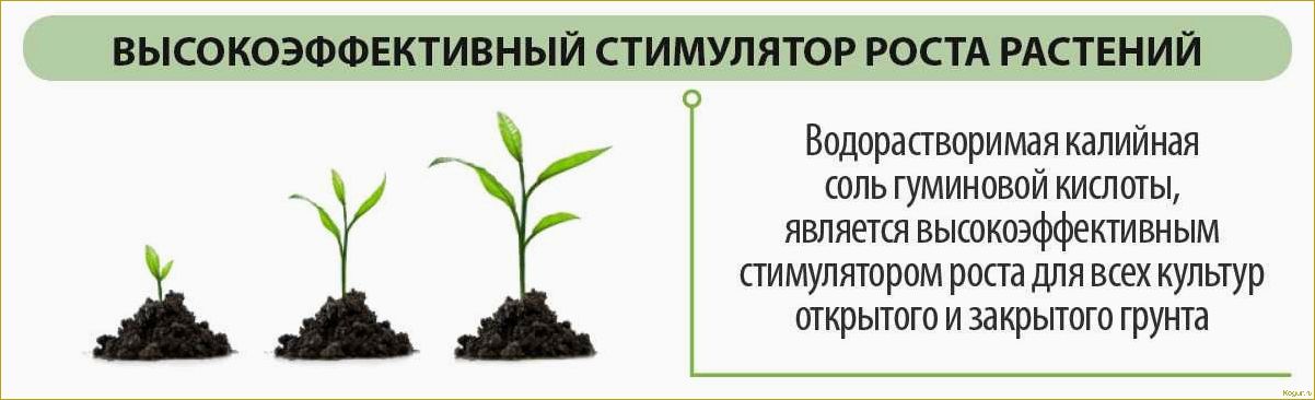 Как использовать регуляторы роста растений: виды и применение