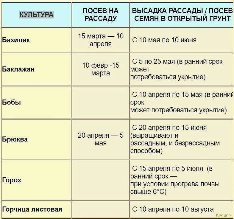 Когда сажать морковь в Ленинградской области