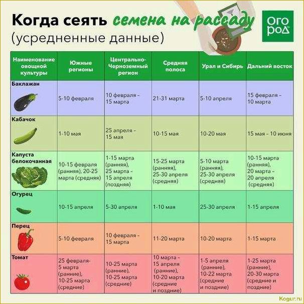 Когда сажать морковь в Ленинградской области