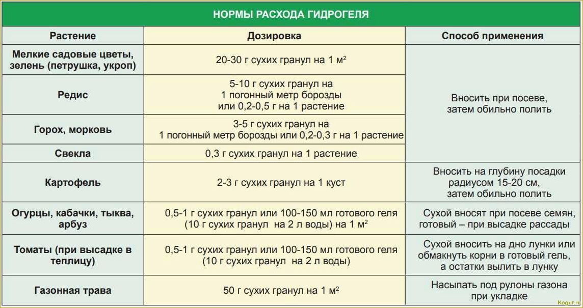 Когда сажать морковь в Ленинградской области