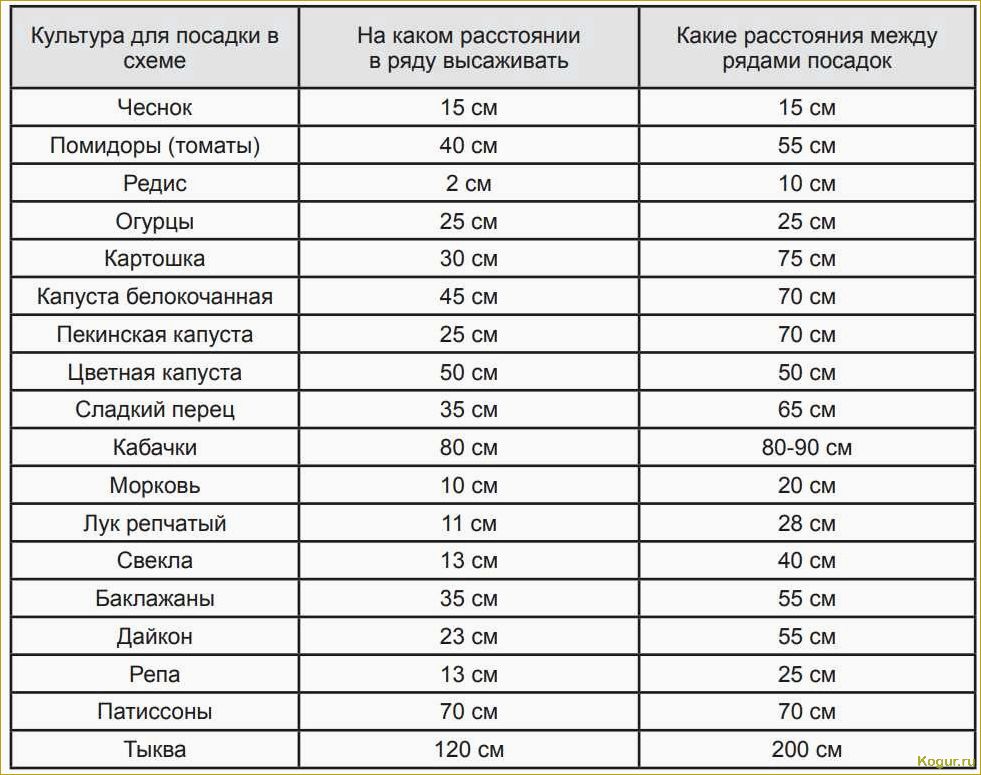 Когда сажать морковь в Ленинградской области