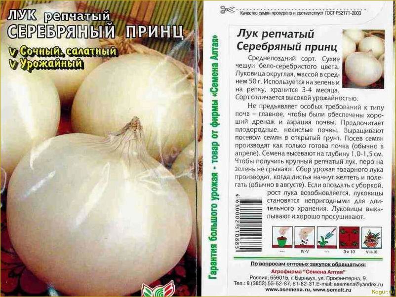 Лук сорта Стурон: подробное описание и нюансы выращивания для хорошего урожая