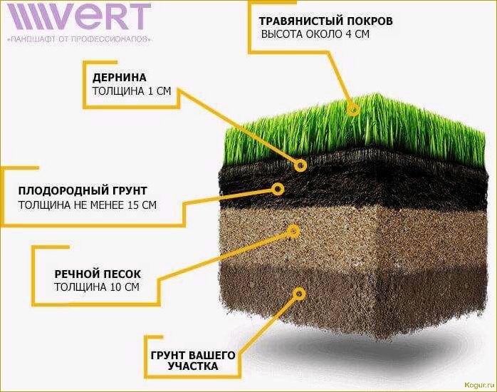 Почва для газона: какая должна быть?