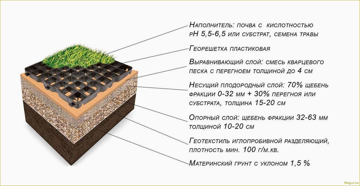 Почва для газона: какая должна быть?