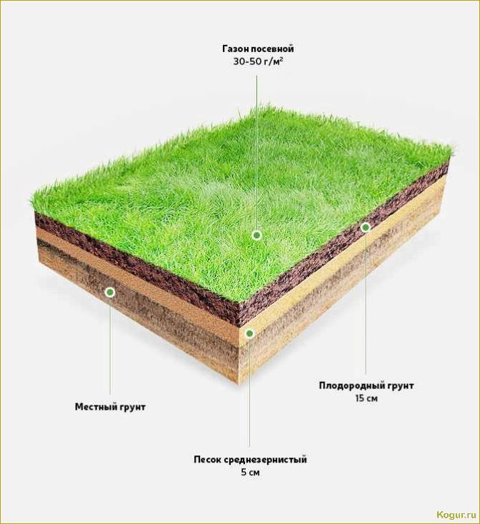 Почва для газона: какая должна быть?