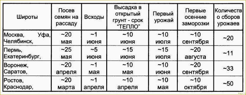 Правильная и своевременная посадка огурцов в открытый грунт — гарант урожая