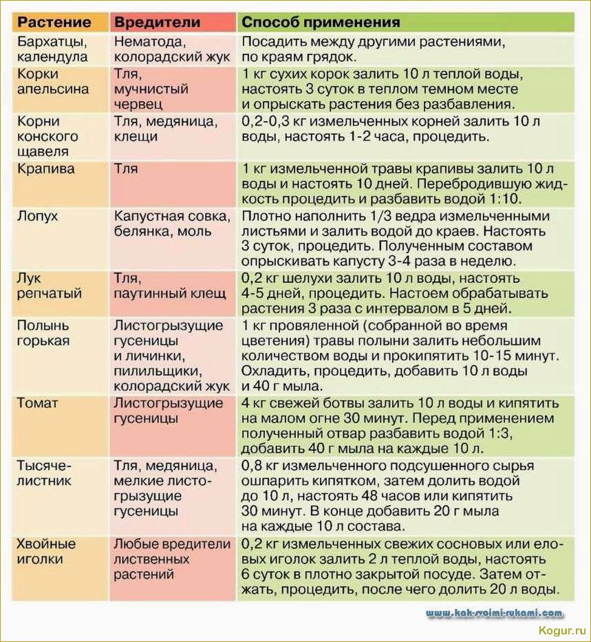 Применение Карбофоса в саду и огороде — правила и нормы обработки от вредителей