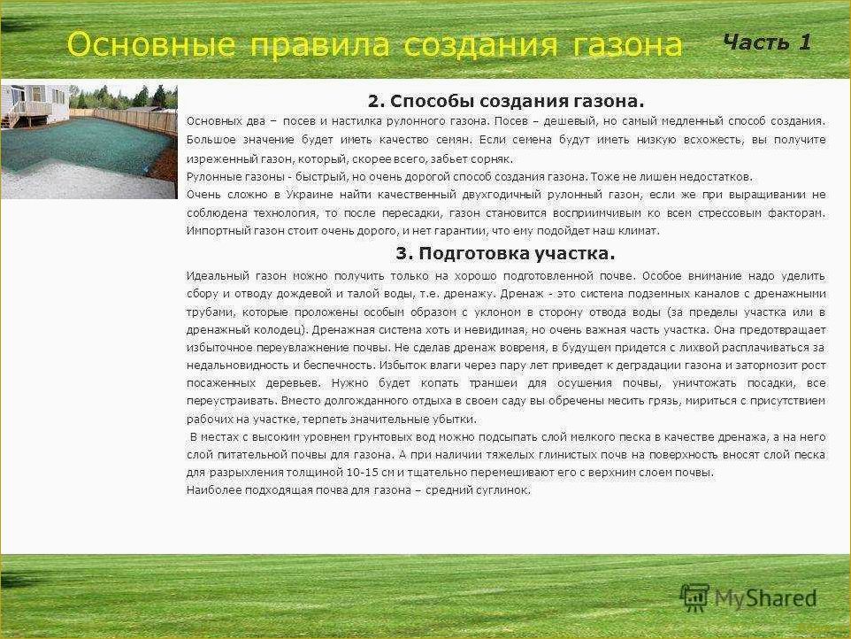 Рулонный газон — изумрудное поле за несколько дней