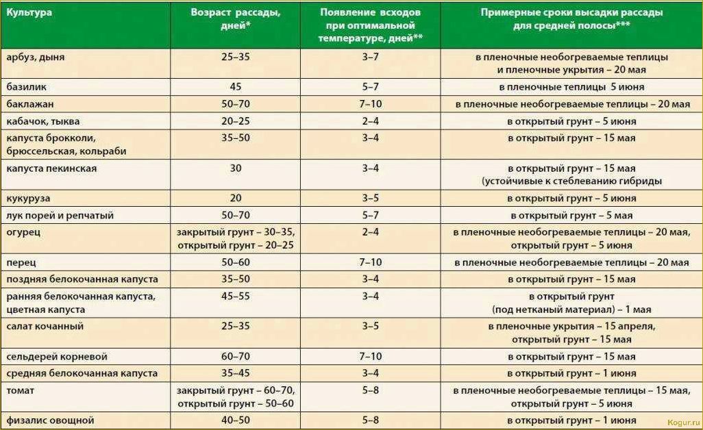 Когда и как правильно высаживать рассаду помидор в грунт: сроки и основные правила