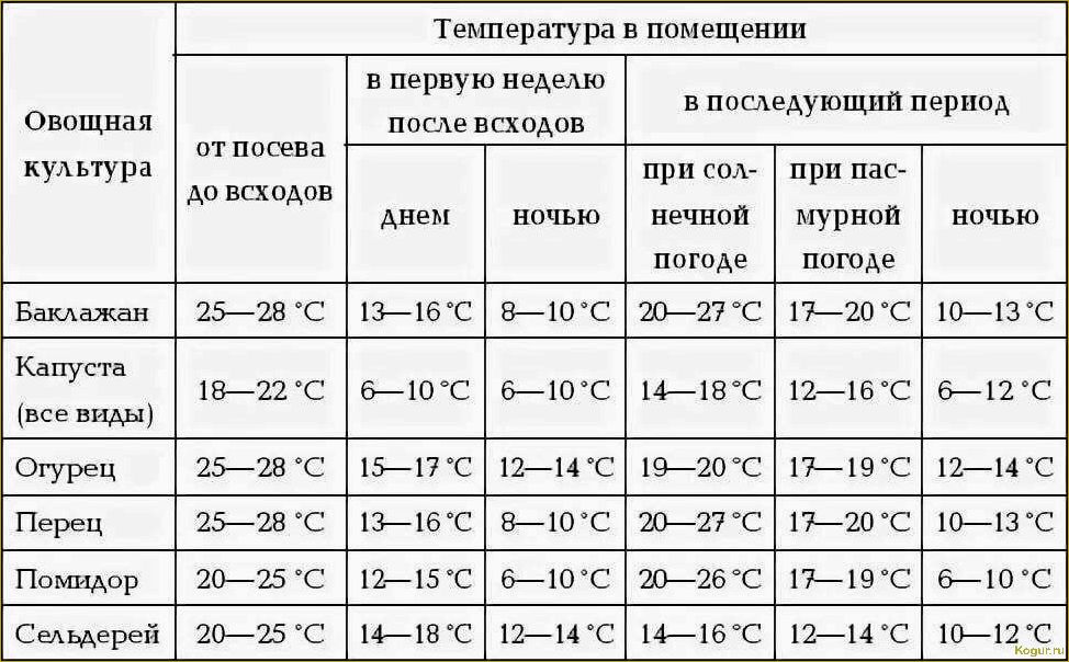 Когда и как правильно высаживать рассаду помидор в грунт: сроки и основные правила