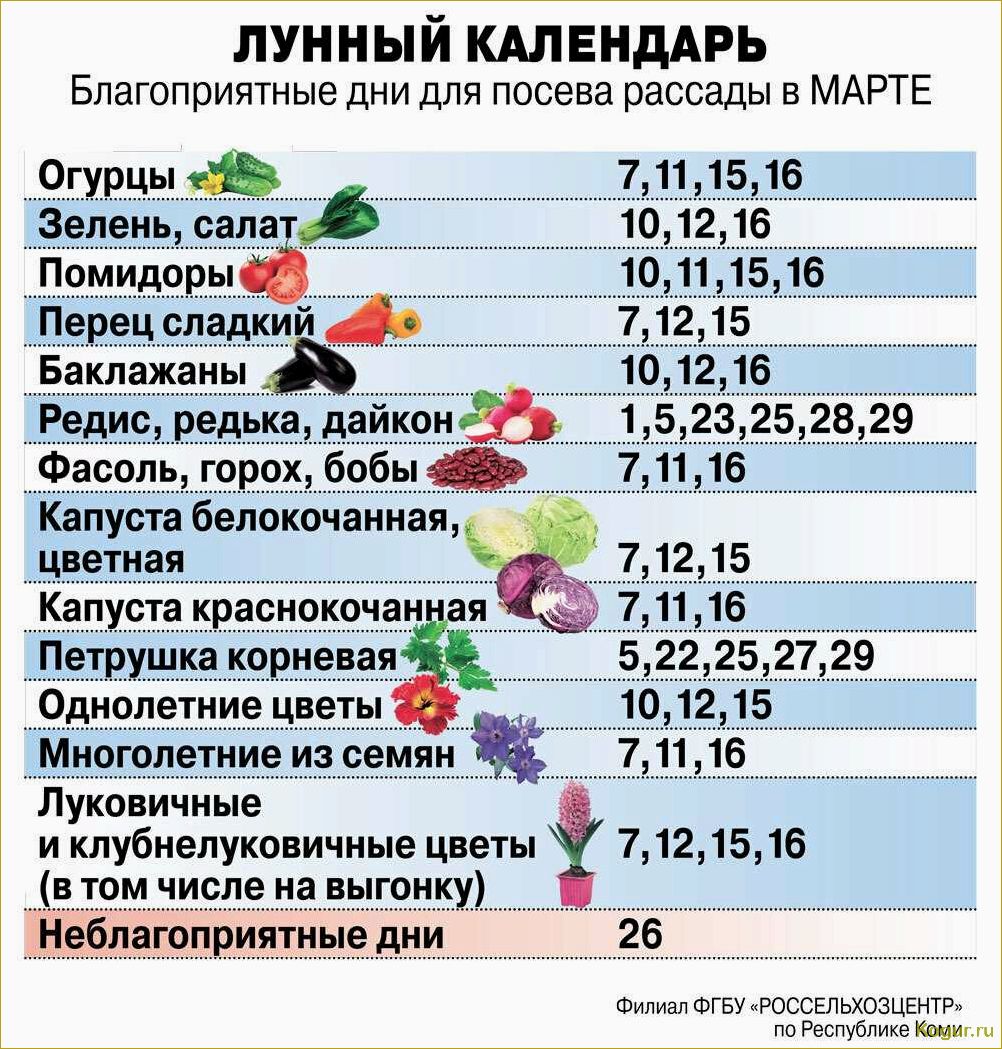 Когда и как правильно высаживать рассаду помидор в грунт: сроки и основные правила