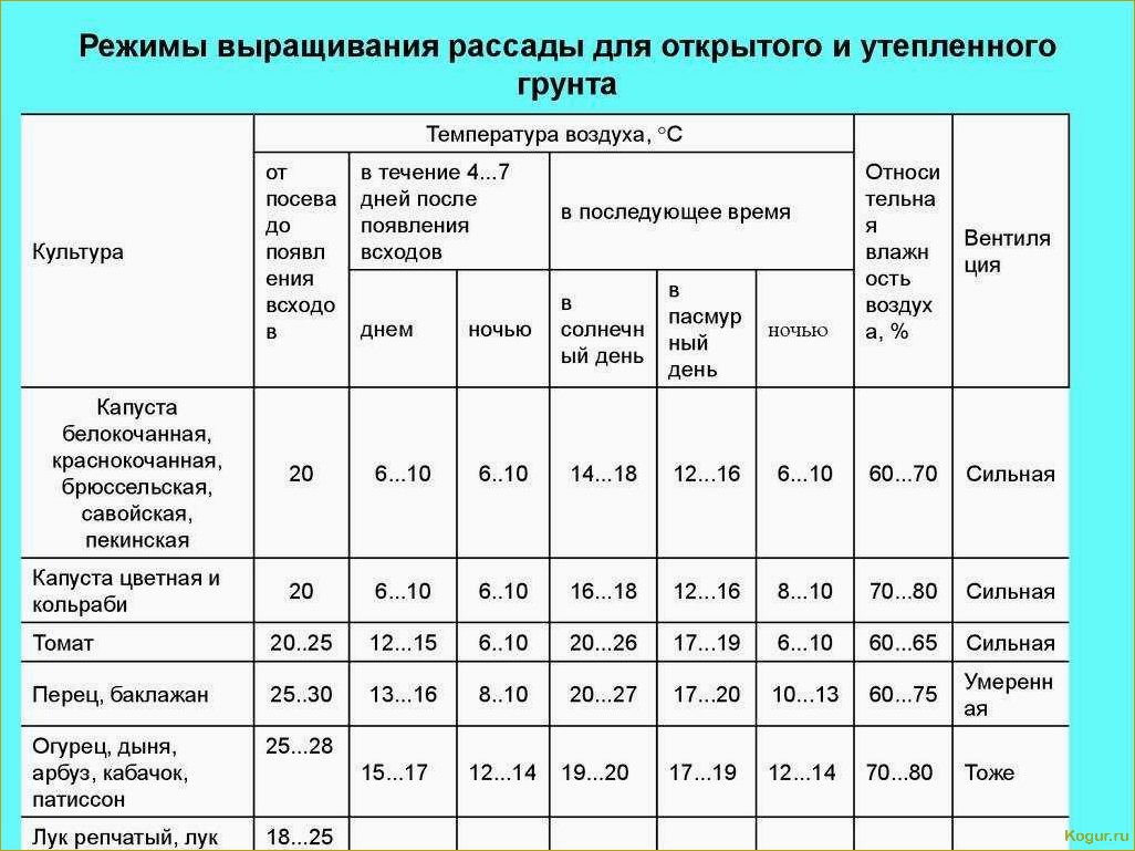 Когда и как правильно высаживать рассаду помидор в грунт: сроки и основные правила