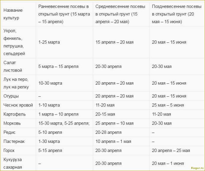 Когда и как правильно высаживать рассаду помидор в грунт: сроки и основные правила