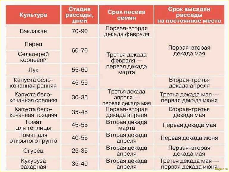 Когда и как правильно высаживать рассаду помидор в грунт: сроки и основные правила