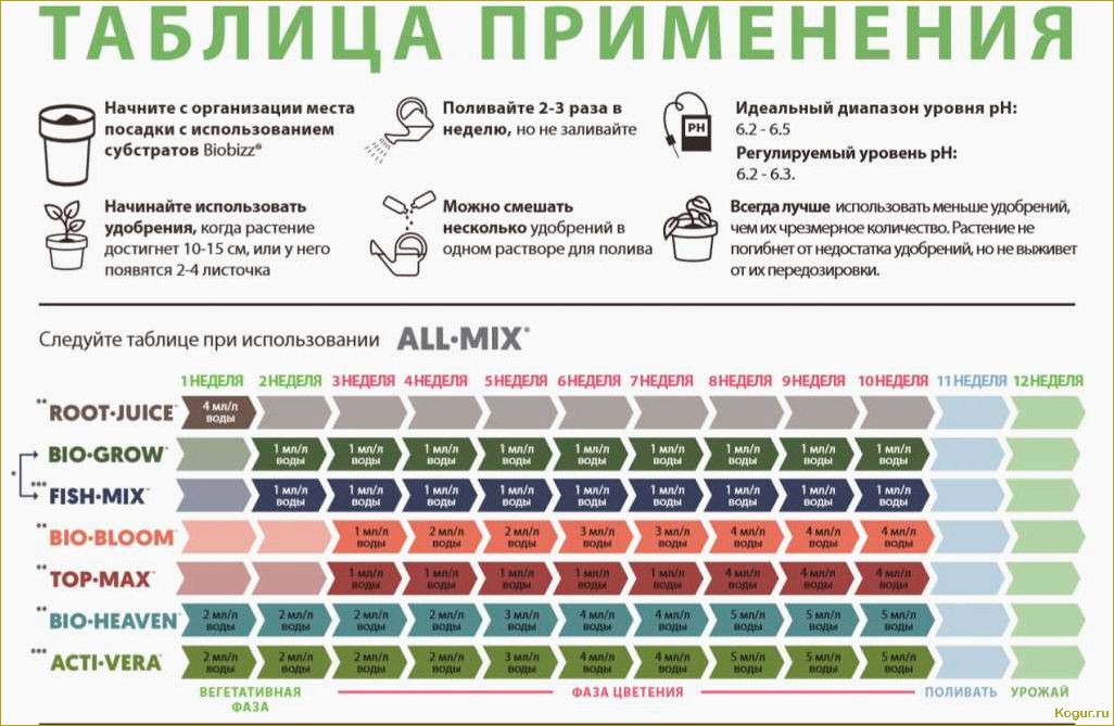 Удобрение Биомастер — популярные виды и правила использования на дачном участке