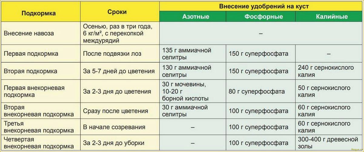 Удобрение Биомастер — популярные виды и правила использования на дачном участке