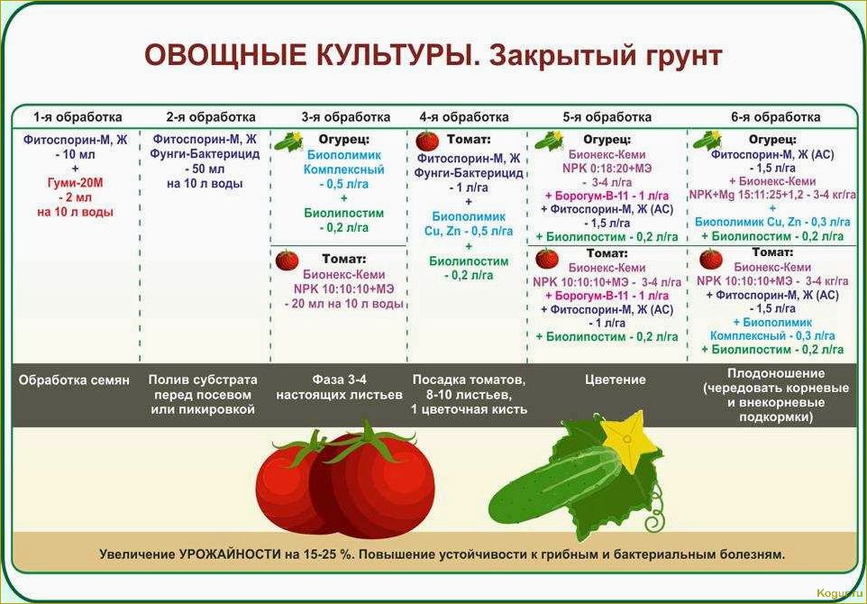 Изучаем сорта баклажан для Подмосковья, чтобы вырастить рекордный урожай в теплице и на грядках